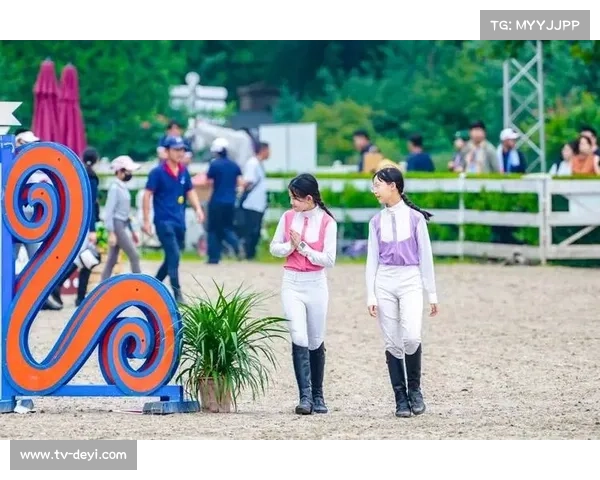 全国青少年锦标赛马主权益升级与最佳马匹形象奖商业化价值全面评估 全国青少年锦标赛马主权益升级与最佳马匹形象奖商业化价值全面评估