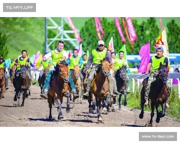 “内蒙古草原那达慕融入格斗表演赛，传统体育现代化探索”